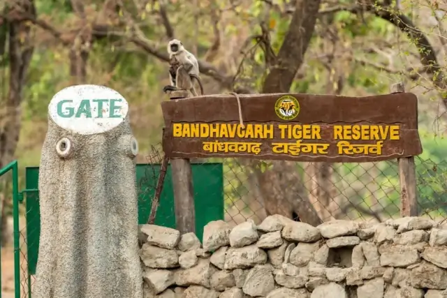Bandhavgarh Tigher Reserve Tour Image