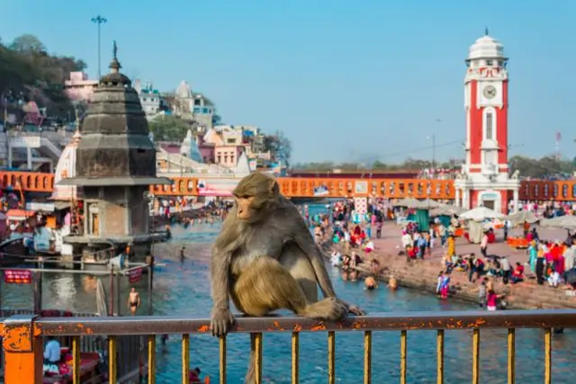 Ganges River In Haridwar Tour Image