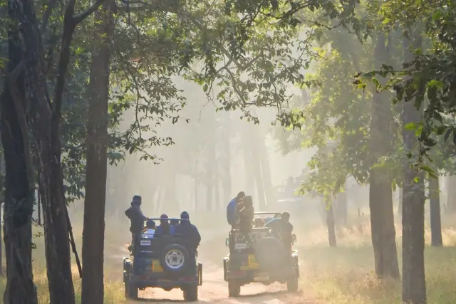 Gir National Jeep Safari Tour Image