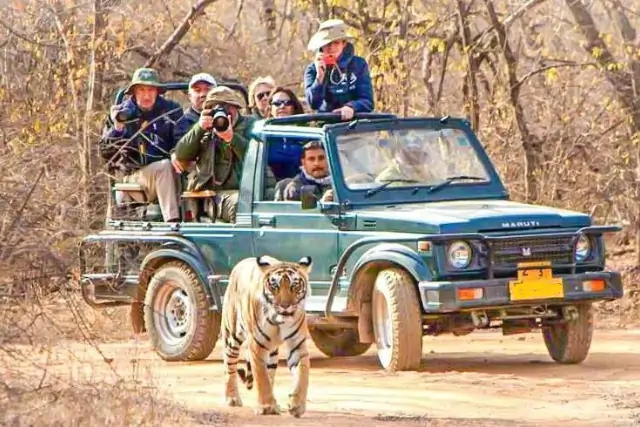 6 Days Bandhavgarh & Kanha Wildlife Mega Tour - itinerary Tour Thumbnail