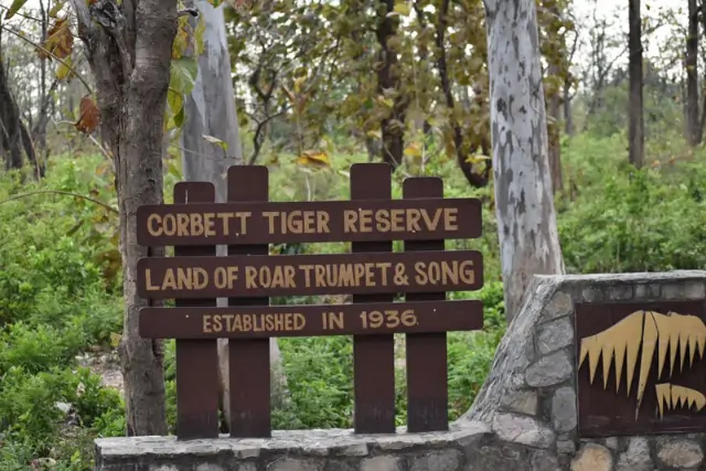 4 Days Jim Corbett National Park Wildlife Safari - itinerary Tour Thumbnail