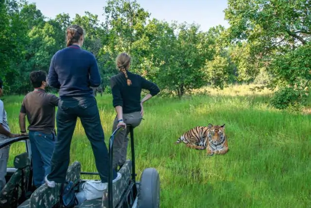 4 Days Gir National Park Asiatic Lion Safari - itinerary Tour Thumbnail