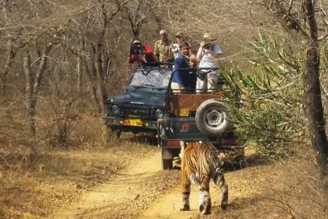 Sariska Safari Tour Image