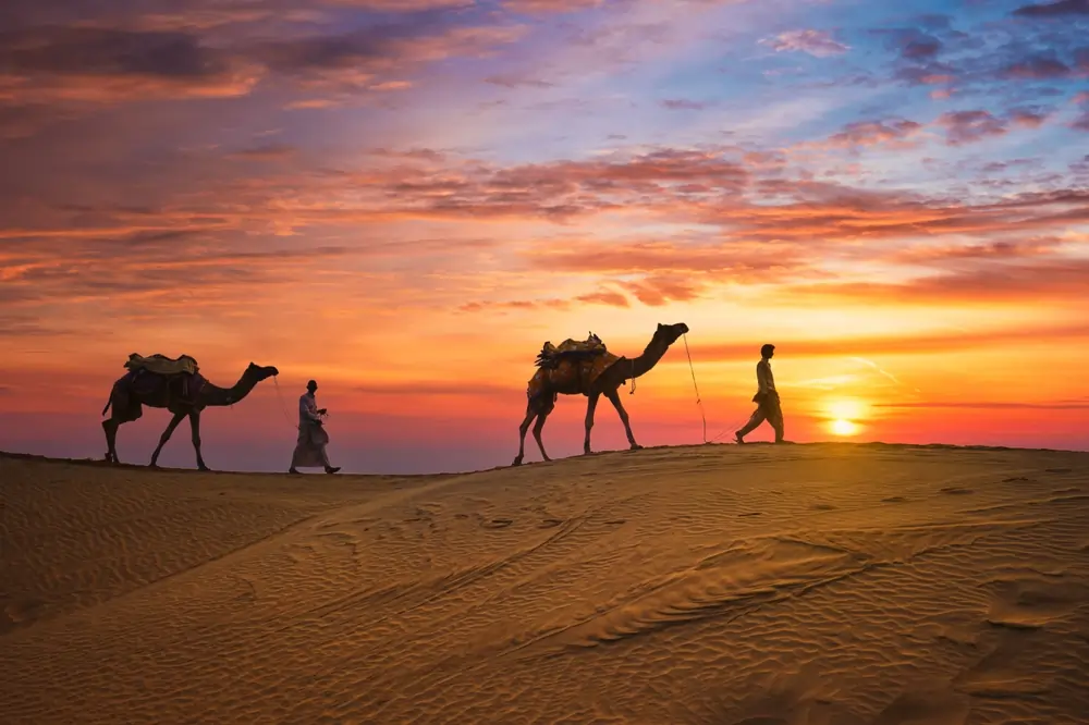 Royal Desert Safari Experiences in Rajasthan