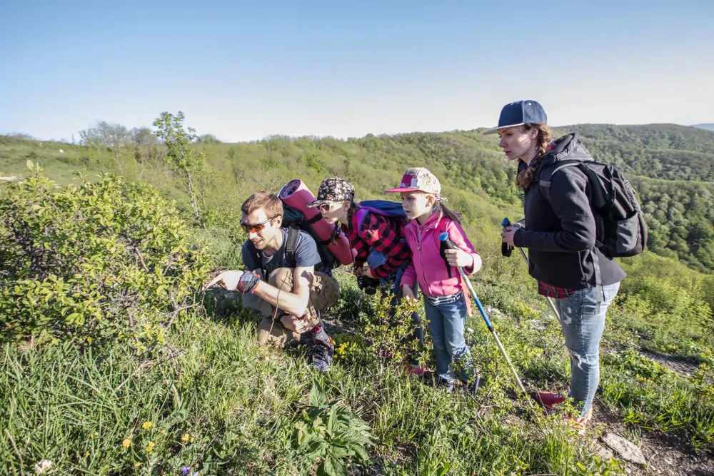 Top Wildlife Destinations in India for an Unforgettable Family Tour